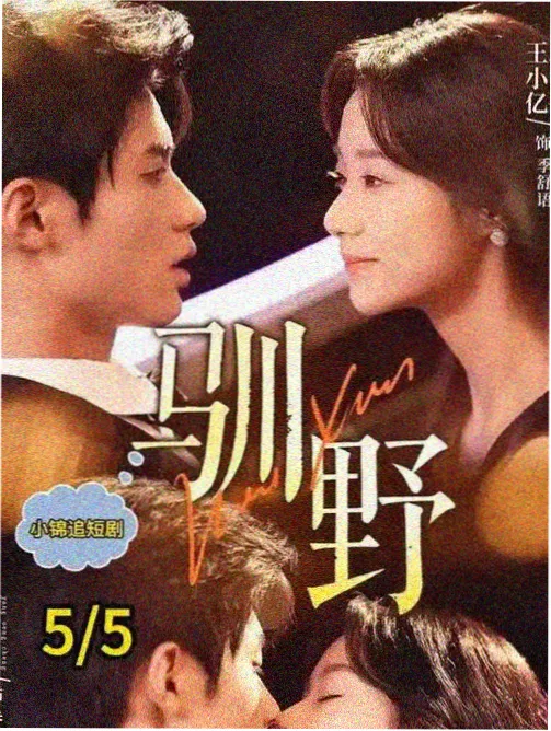 轻小说入坑顺序示意配图